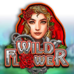 Slot Gacor Wild Flower 2025