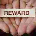 Pentingnya Self Reward Setelah Bekerja Keras - Berartinya Berikan Penghargaan pada Diri Sendiri: Ilustrasi Self- Reward