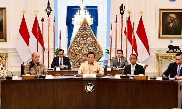 Ray Dalio, Danantara, Singgungan mengenai Meritokrasi